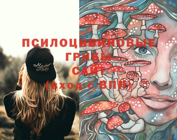 мдпв Армянск