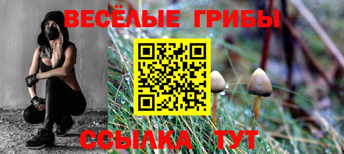 Псилоцибиновые грибы мухоморы  Вход с VPN  Галлюциногенные грибы Psilocybe  Чапаевск 