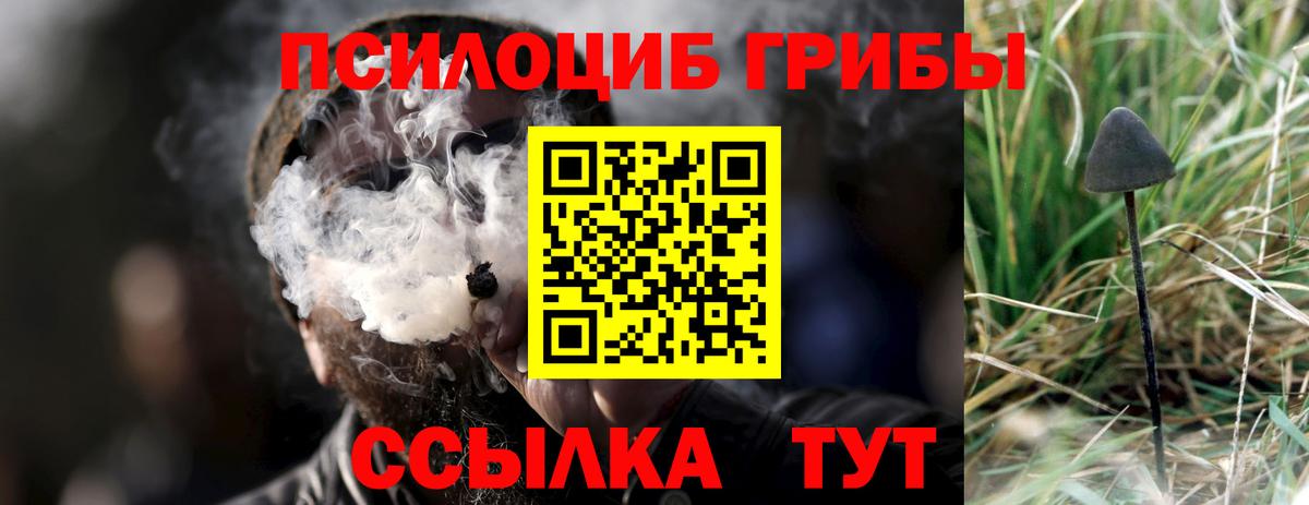 Галлюциногенные грибы мицелий Чапаевск